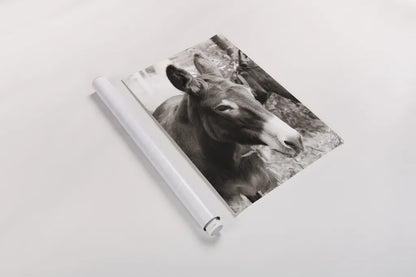 Cottage Donkey II by Deborah Revell. shown as a rolled paper print. Available as archival giclee rolled canvas, fine art paper, or poster print. SKU 100060h.