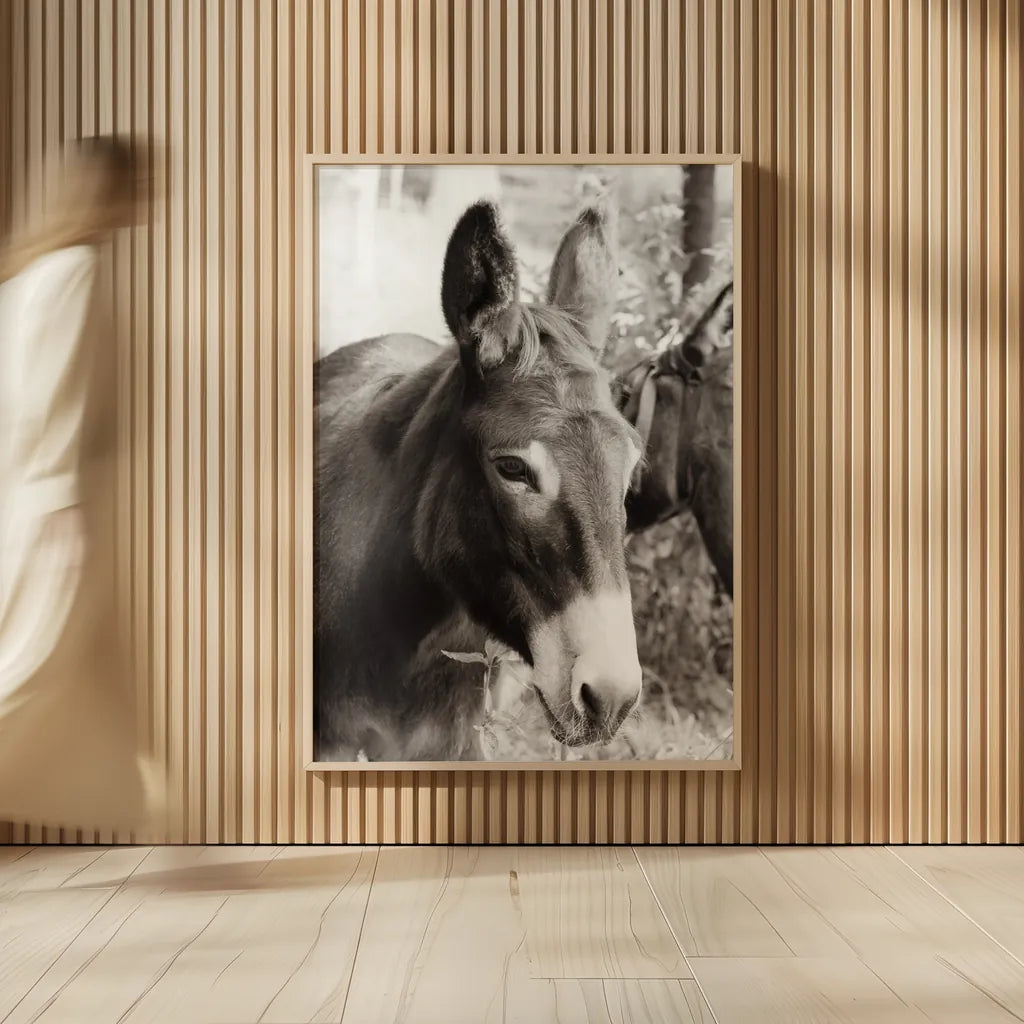 Cottage Donkey II by Deborah Revell. shown as over sized large wall art. Available as an archival giclee rolled canvas, fine art paper, or poster print. SKU 100060h.