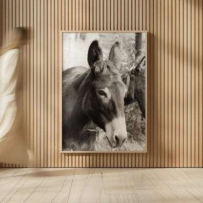 Cottage Donkey II by Deborah Revell. shown as over sized large wall art. Available as an archival giclee rolled canvas, fine art paper, or poster print. SKU 100060h.