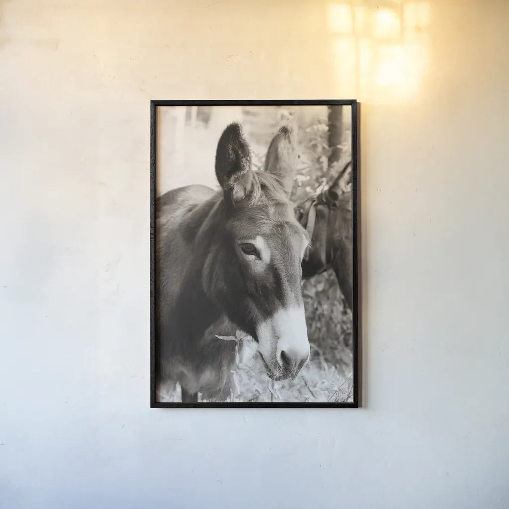 Cottage Donkey II by Deborah Revell. shown as a paper print in a black flame. Available as a archival giclee rolled canvas, fine art paper, or poster print. SKU 100060h.