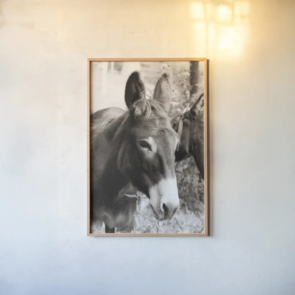 Cottage Donkey II by Deborah Revell. shown as a paper print in a natural frame. Available as a archival giclee rolled canvas, fine art paper, or poster print. SKU 100060h.