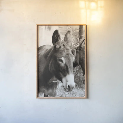 Cottage Donkey II by Deborah Revell. shown as a paper print in a natural frame. Available as a archival giclee rolled canvas, fine art paper, or poster print. SKU 100060h.