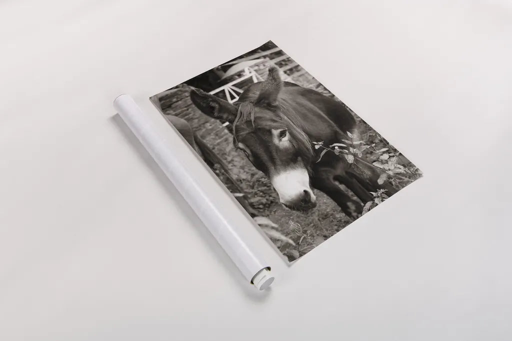 Cottage Donkey III by Deborah Revell. shown as a rolled paper print. Available as archival giclee rolled canvas, fine art paper, or poster print. SKU 100061h.