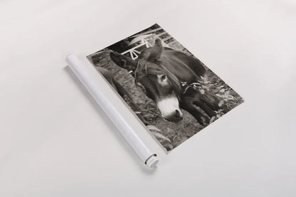 Cottage Donkey III by Deborah Revell. shown as a rolled paper print. Available as archival giclee rolled canvas, fine art paper, or poster print. SKU 100061h.