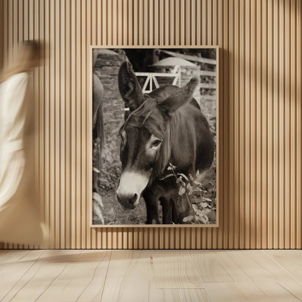 Cottage Donkey III by Deborah Revell. shown as over sized large wall art. Available as an archival giclee rolled canvas, fine art paper, or poster print. SKU 100061h.