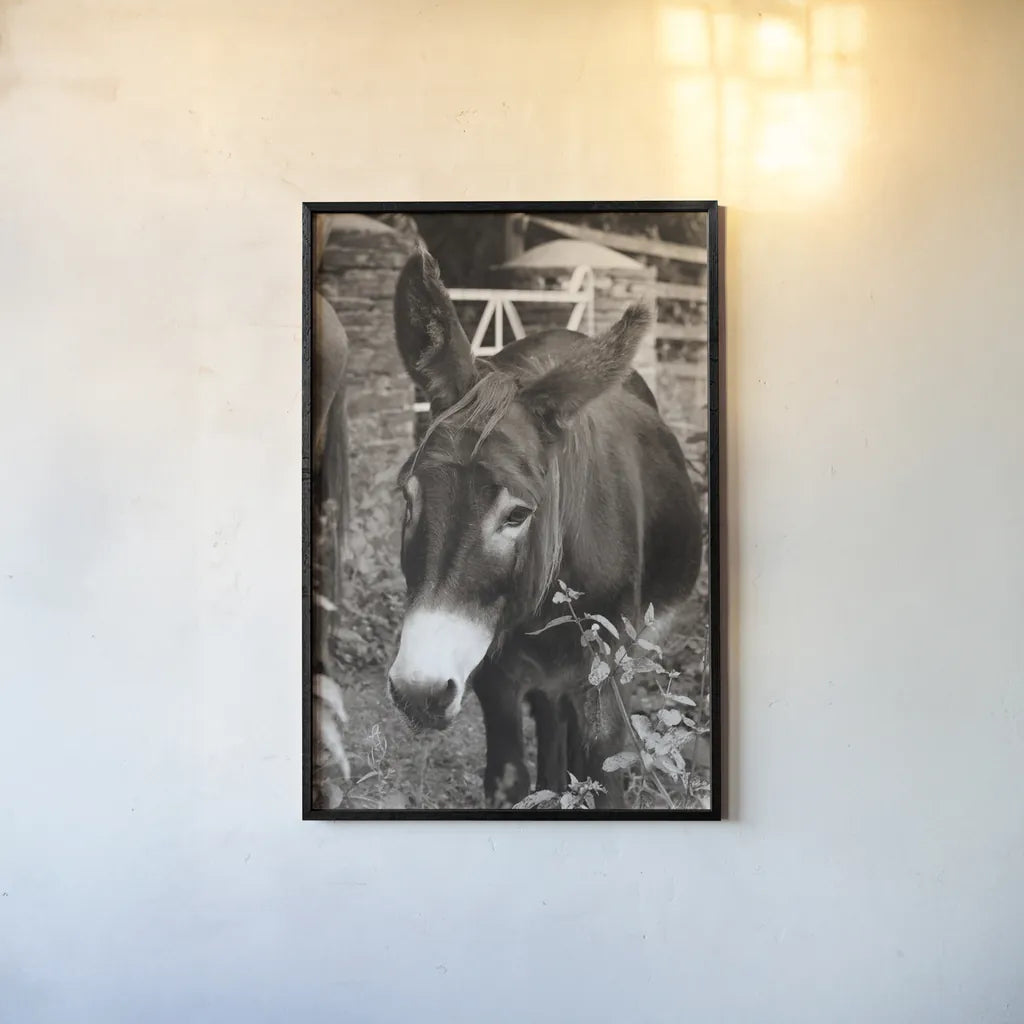 Cottage Donkey III by Deborah Revell. shown as a paper print in a black flame. Available as a archival giclee rolled canvas, fine art paper, or poster print. SKU 100061h.
