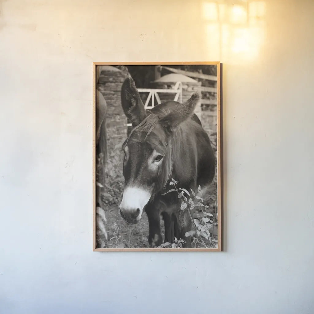 Cottage Donkey III by Deborah Revell. shown as a paper print in a natural frame. Available as a archival giclee rolled canvas, fine art paper, or poster print. SKU 100061h.