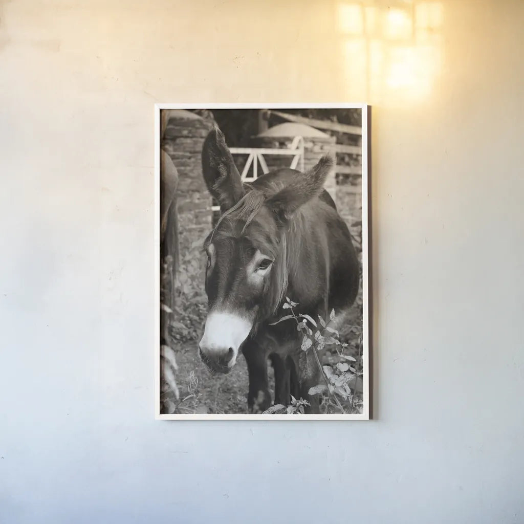 Cottage Donkey III by Deborah Revell. shown as a paper print in a white frame. Available as a archival giclee rolled canvas, fine art paper, or poster print. SKU 100061h.