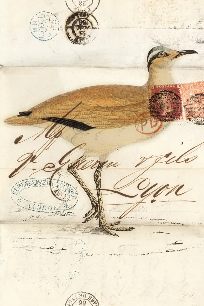 Courser by Deborah Revell. SKU 101633h. Archival Giclee Fine art print for wall decor.