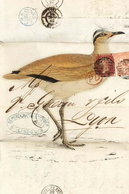 Courser by Deborah Revell. SKU 101633h. Archival Giclee Fine art print for wall decor.