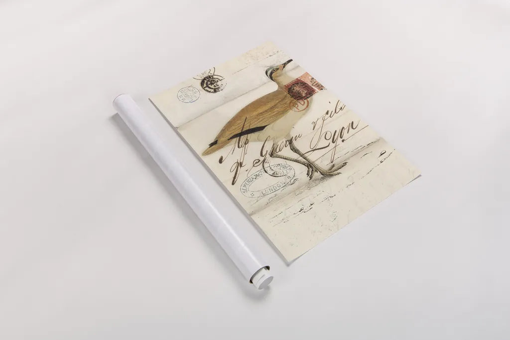 Courser by Deborah Revell. shown as a rolled paper print. Available as archival giclee rolled canvas, fine art paper, or poster print. SKU 101633h.