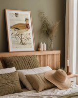 Courser by Deborah Revell. shown as a paper print in a natural frame. Available as a archival giclee rolled canvas, fine art paper, or poster print. SKU 101633h.