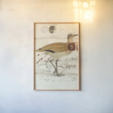 Courser by Deborah Revell. shown as a paper print in a natural frame. Available as a archival giclee rolled canvas, fine art paper, or poster print. SKU 101633h.