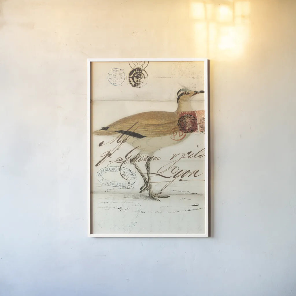 Courser by Deborah Revell. shown as a paper print in a white frame. Available as a archival giclee rolled canvas, fine art paper, or poster print. SKU 101633h.
