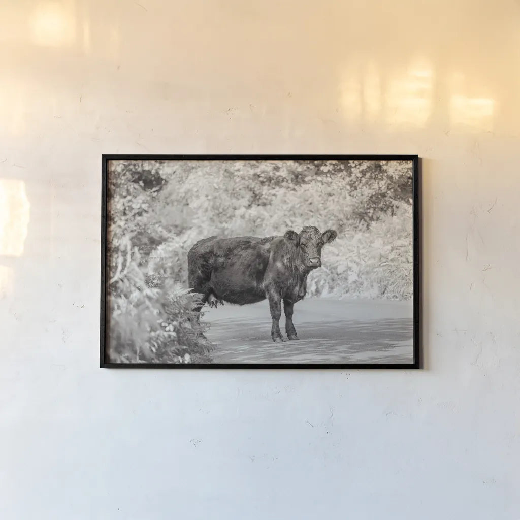 Cow on the Road I by Deborah Revell. shown as a paper print in a black flame. Available as a archival giclee rolled canvas, fine art paper, or poster print. SKU 94282i.