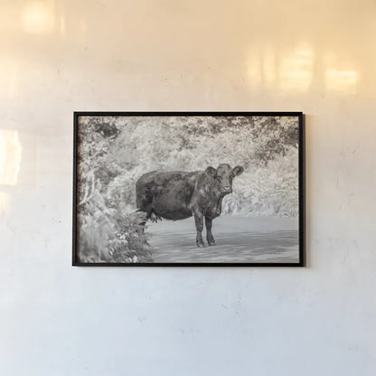 Cow on the Road I by Deborah Revell. shown as a paper print in a black flame. Available as a archival giclee rolled canvas, fine art paper, or poster print. SKU 94282i.