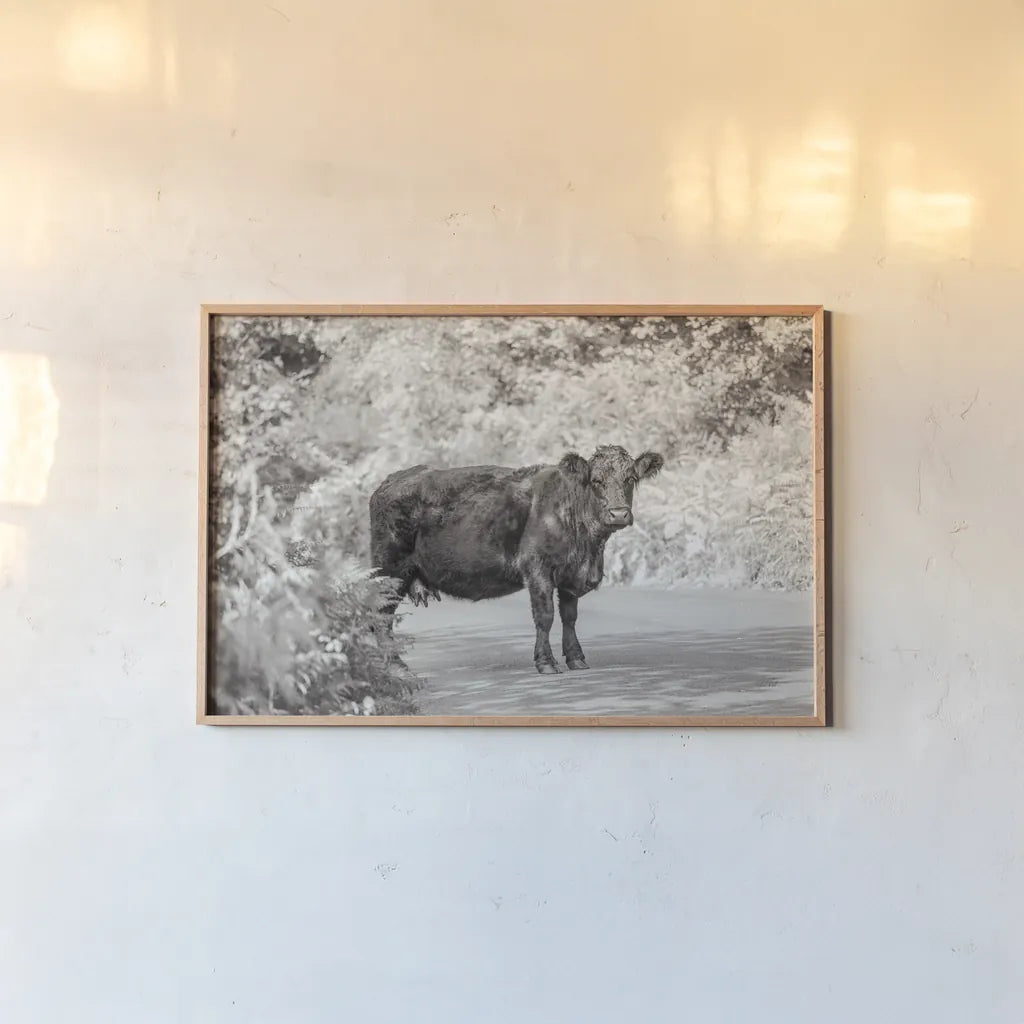 Cow on the Road I by Deborah Revell. shown as a paper print in a natural frame. Available as a archival giclee rolled canvas, fine art paper, or poster print. SKU 94282i.