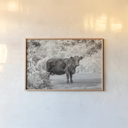 Cow on the Road I by Deborah Revell. shown as a paper print in a natural frame. Available as a archival giclee rolled canvas, fine art paper, or poster print. SKU 94282i.