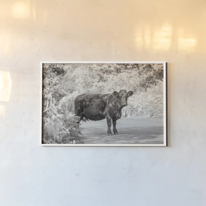 Cow on the Road I by Deborah Revell. shown as a paper print in a white frame. Available as a archival giclee rolled canvas, fine art paper, or poster print. SKU 94282i.