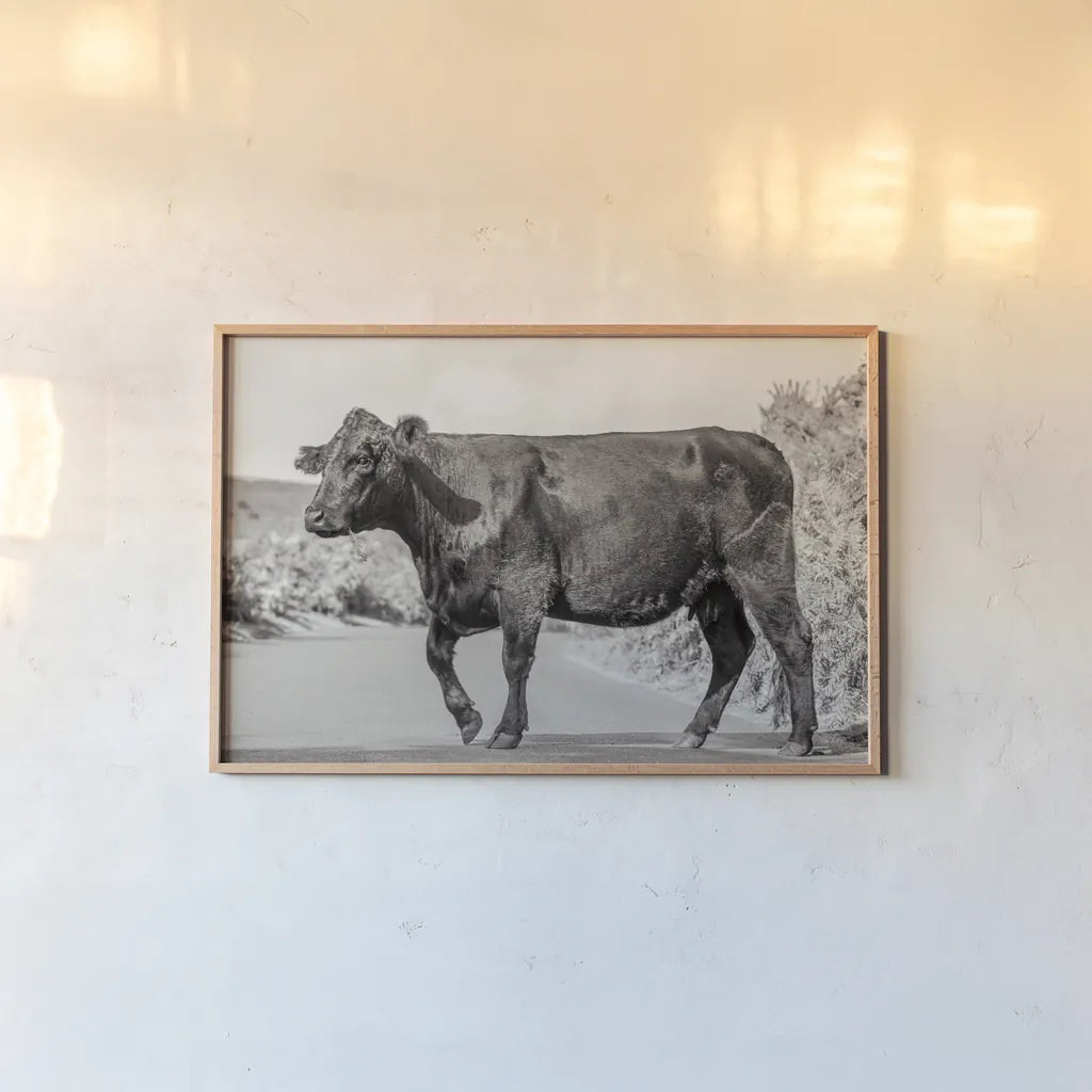Cow on the Road II by Deborah Revell. shown as a paper print in a natural frame. Available as a archival giclee rolled canvas, fine art paper, or poster print. SKU 94283i.