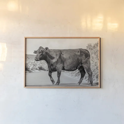 Cow on the Road II by Deborah Revell. shown as a paper print in a natural frame. Available as a archival giclee rolled canvas, fine art paper, or poster print. SKU 94283i.