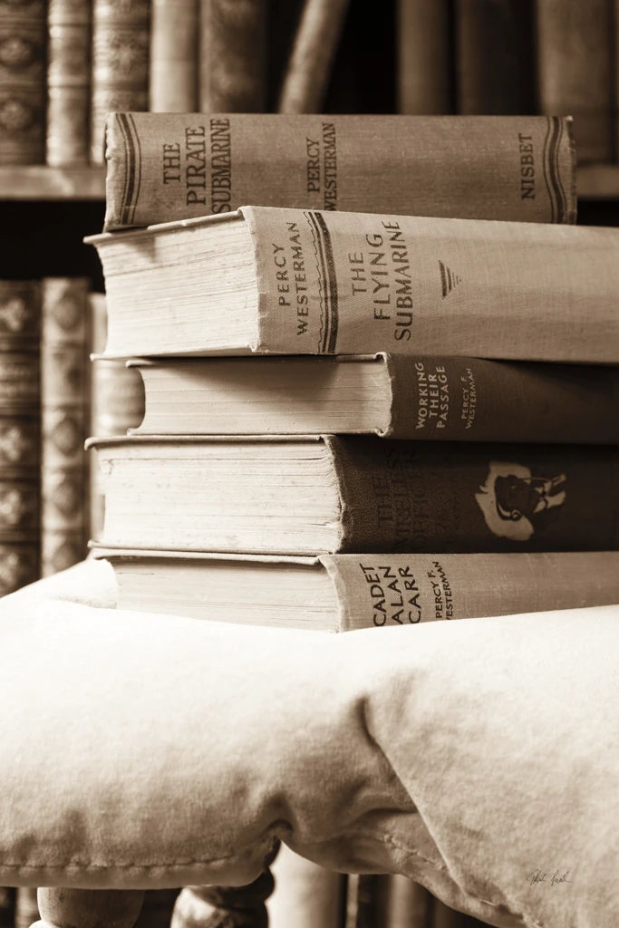 Cozy Library by Deborah Revell