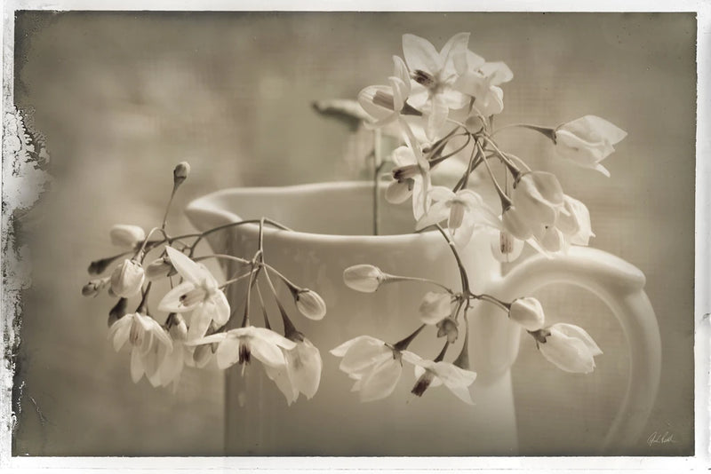 Cruche et Fleur de Printemps by Deborah Revell