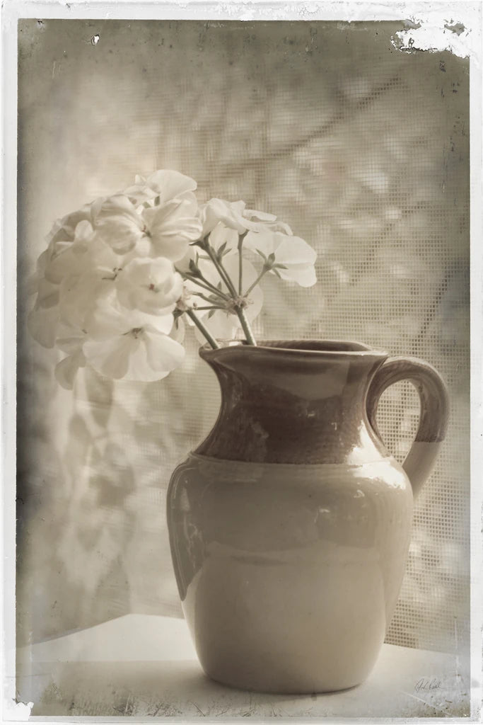Cruche et Hortensias by Deborah Revell