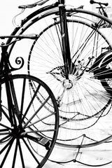 Cycle I by Deborah Revell. SKU 104306h. Archival Giclee Fine art print for wall decor.