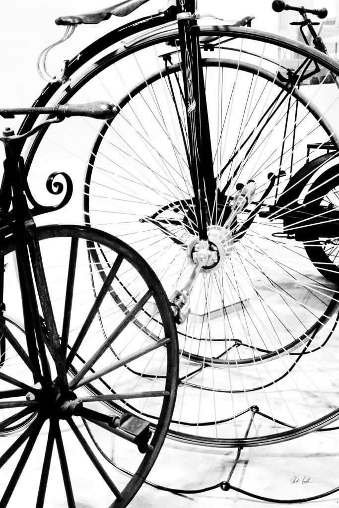 Cycle I by Deborah Revell. SKU 104306h. Archival Giclee Fine art print for wall decor.