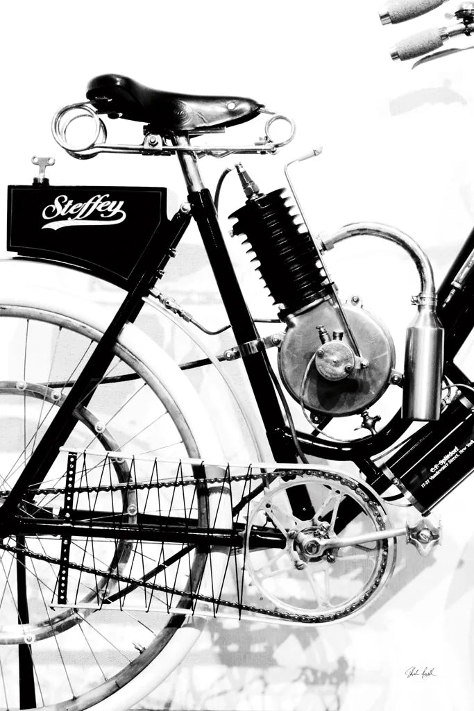 Cycle II by Deborah Revell. SKU 104307h. Archival Giclee Fine art print for wall decor.