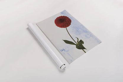 Dahlia I by Deborah Revell. shown as a rolled paper print. Available as archival giclee rolled canvas, fine art paper, or poster print. SKU 96171h.