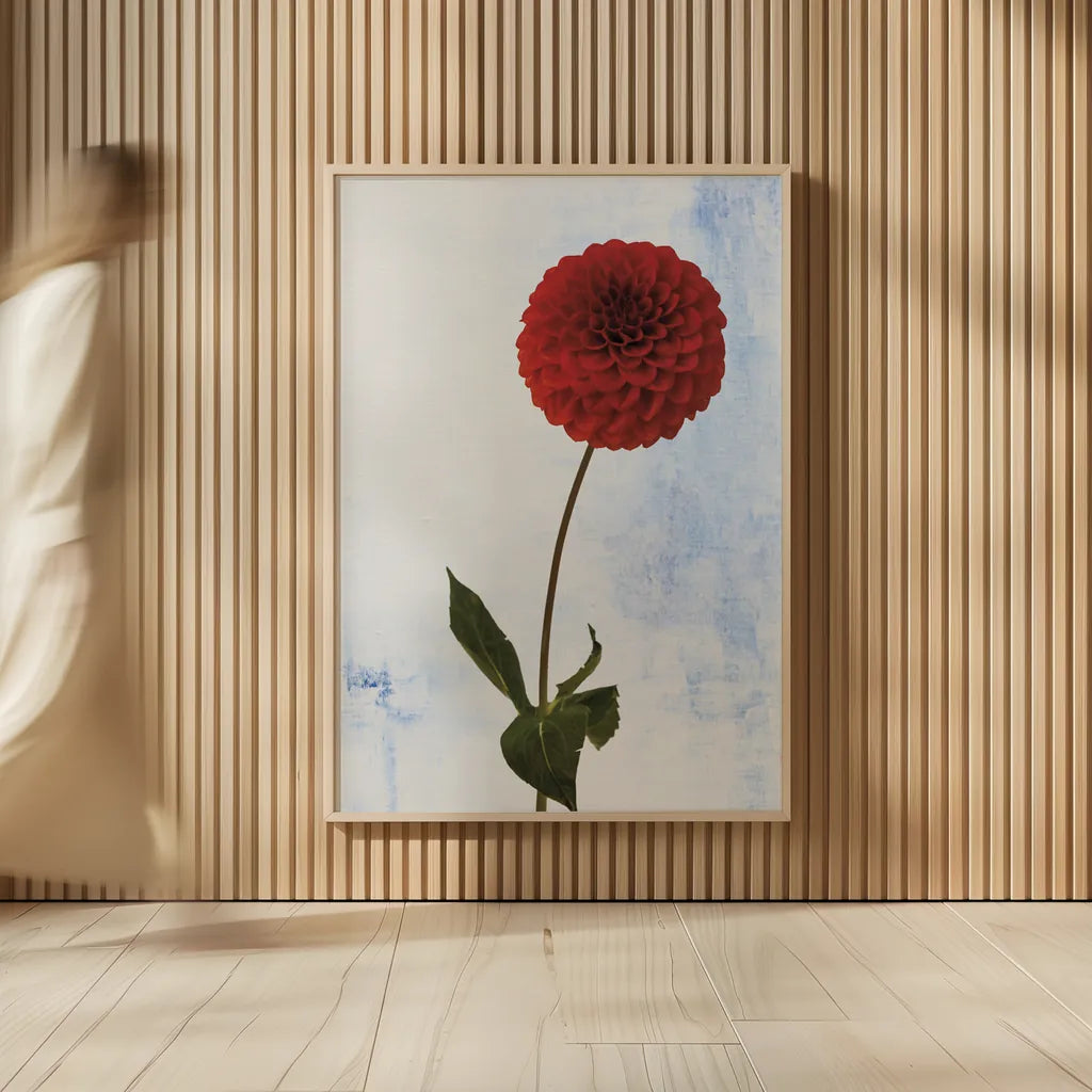 Dahlia I by Deborah Revell. shown as over sized large wall art. Available as an archival giclee rolled canvas, fine art paper, or poster print. SKU 96171h.
