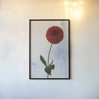 Dahlia I by Deborah Revell. shown as a paper print in a black flame. Available as a archival giclee rolled canvas, fine art paper, or poster print. SKU 96171h.