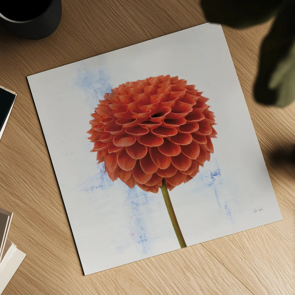 Dahlia II by Deborah Revell. Shown as a detailed flat fine art print, highlighting archival giclee quality. Available as an archival giclee rolled canvas, fine art paper, or poster print. SKU 96172a.