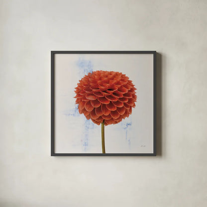 Dahlia II by Deborah Revell. Shown in a sleek black glass frame for a contemporary gallery look. Available as an archival giclee rolled canvas, fine art paper, or poster print. SKU 96172a.