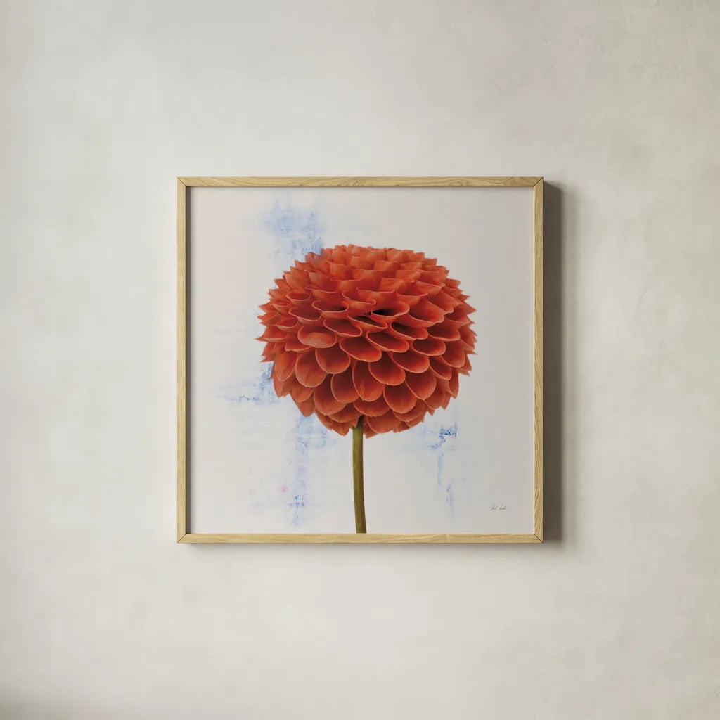 Dahlia II by Deborah Revell. Shown in a natural wood glass frame for a timeless modern aesthetic. Available as an archival giclee rolled canvas, fine art paper, or poster print. SKU 96172a.