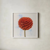 Dahlia II by Deborah Revell. Shown in a crisp white glass frame for a clean and minimalist style. Available as an archival giclee rolled canvas, fine art paper, or poster print. SKU 96172a.