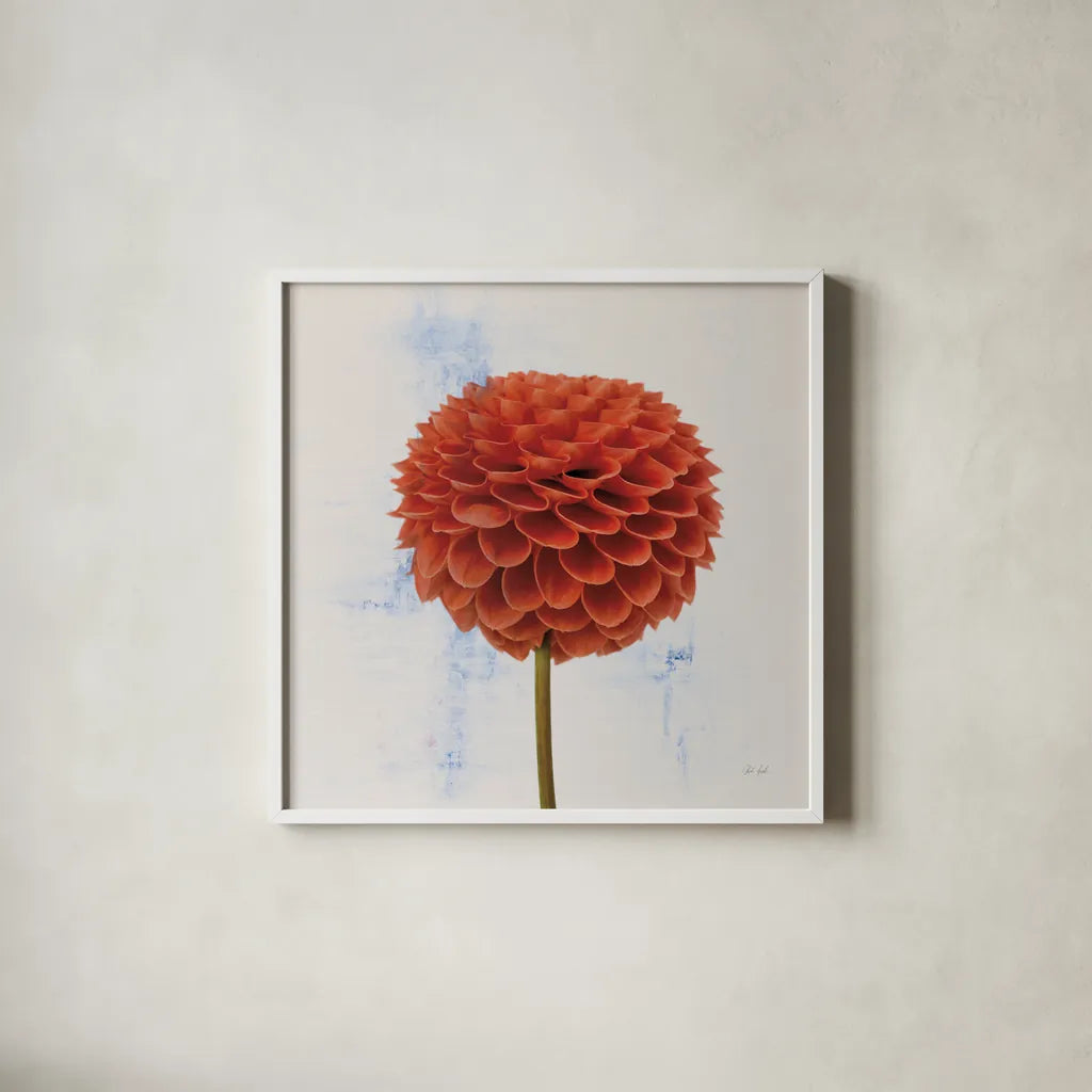 Dahlia II by Deborah Revell. Shown in a crisp white glass frame for a clean and minimalist style. Available as an archival giclee rolled canvas, fine art paper, or poster print. SKU 96172a.