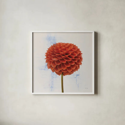 Dahlia II by Deborah Revell. Shown in a crisp white glass frame for a clean and minimalist style. Available as an archival giclee rolled canvas, fine art paper, or poster print. SKU 96172a.