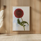 Dahlia III by Deborah Revell. shown as over sized large wall art. Available as an archival giclee rolled canvas, fine art paper, or poster print. SKU 96173h.