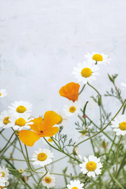 Daisies by Deborah Revell. SKU 93427h. Archival Giclee Fine art print for wall decor.