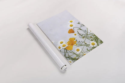Daisies by Deborah Revell. shown as a rolled paper print. Available as archival giclee rolled canvas, fine art paper, or poster print. SKU 93427h.