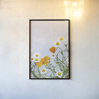 Daisies by Deborah Revell. shown as a paper print in a black flame. Available as a archival giclee rolled canvas, fine art paper, or poster print. SKU 93427h.