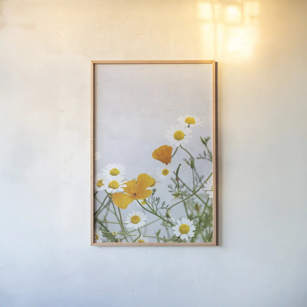 Daisies by Deborah Revell. shown as a paper print in a natural frame. Available as a archival giclee rolled canvas, fine art paper, or poster print. SKU 93427h.