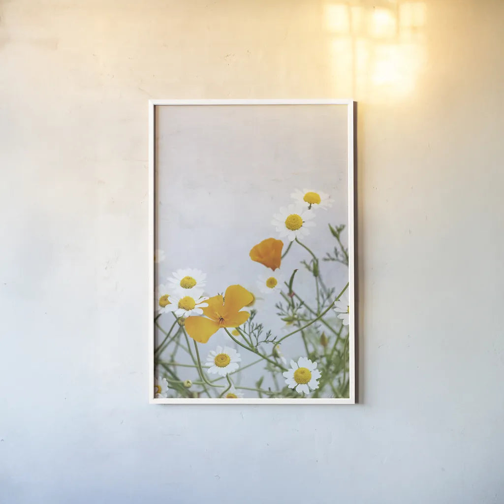 Daisies by Deborah Revell. shown as a paper print in a white frame. Available as a archival giclee rolled canvas, fine art paper, or poster print. SKU 93427h.