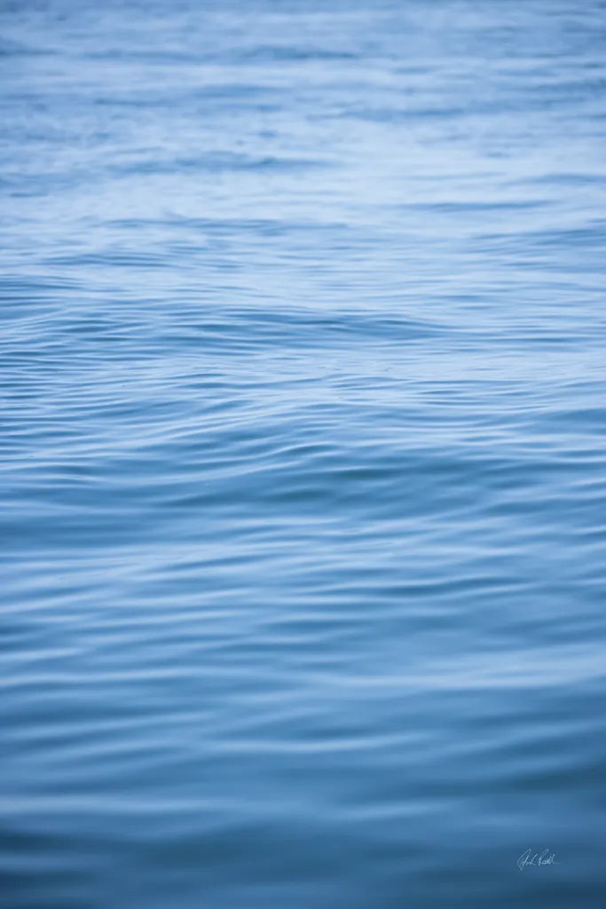 Dancing Sea I by Deborah Revell. SKU 102764h. Archival Giclee Fine art print for wall decor.