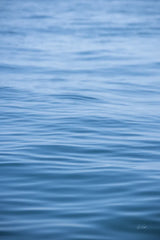 Dancing Sea II by Deborah Revell. SKU 102765h. Archival Giclee Fine art print for wall decor.