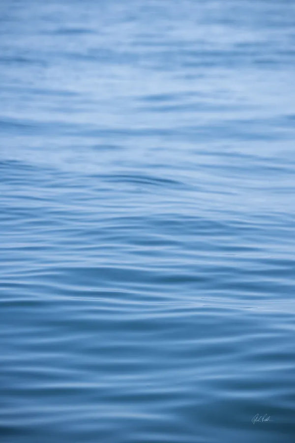 Dancing Sea II by Deborah Revell. SKU 102765h. Archival Giclee Fine art print for wall decor.