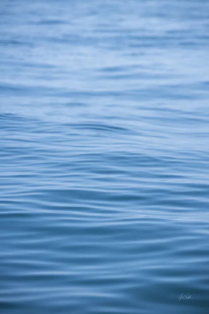 Dancing Sea II by Deborah Revell. SKU 102765h. Archival Giclee Fine art print for wall decor.